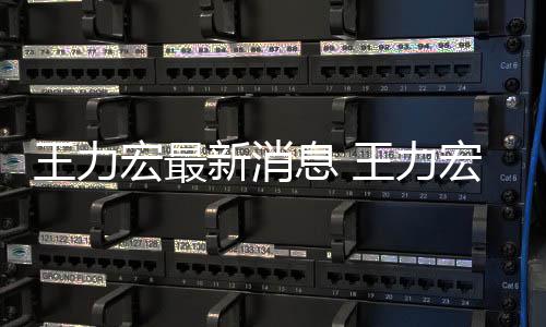 让司题王力王力新消息 李靓蕾宏最宏方回应决问法解