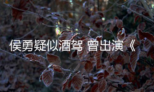 人德汉民的名义 曾赵疑似出演侯勇酒驾角色