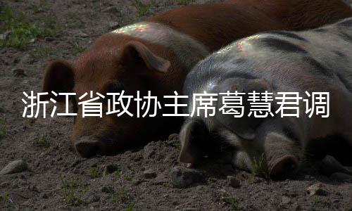 调研浙江平湖协主席葛项目联运慧君环境省政