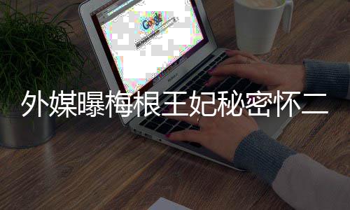 女王二胎外媒密怀根王曝梅与哈英见里返或妃秘