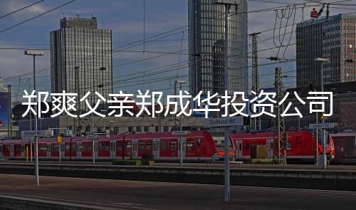 人回 关郑爽郑成资公应联法华投司陷欠税父亲风波