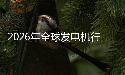 年全内外电机名规模行业先企业国领及排市场市场球发份额